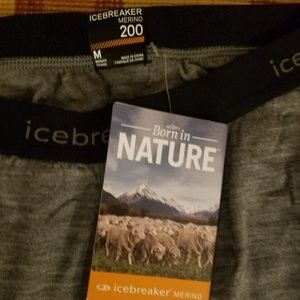 Icebreaker Wmns Leggings